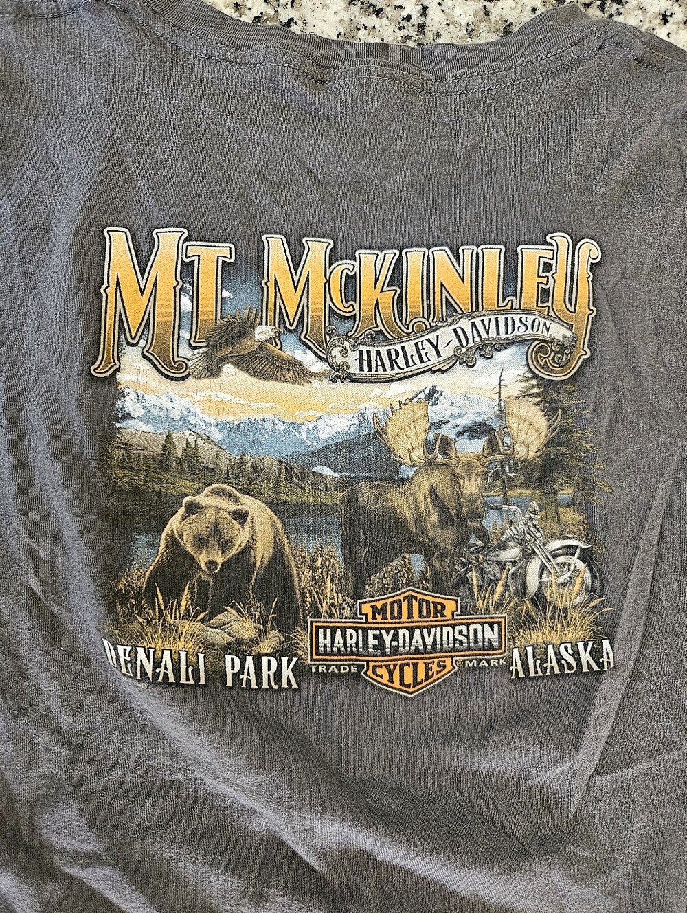Harley-Davidson Gray V-Neck Tee with Yellow Alaska Graphic